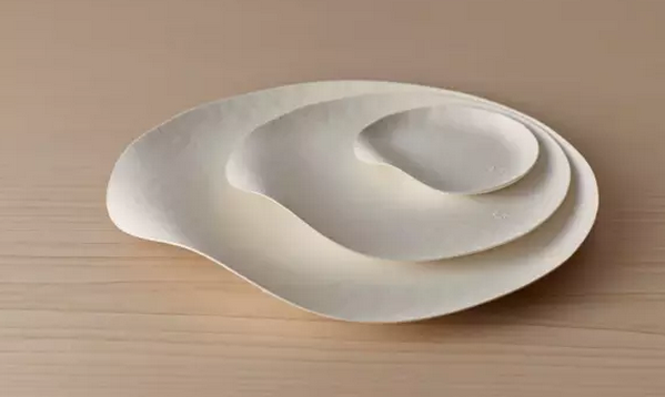 一次性餐具竟然美得像藝術(shù)品?。?）.png